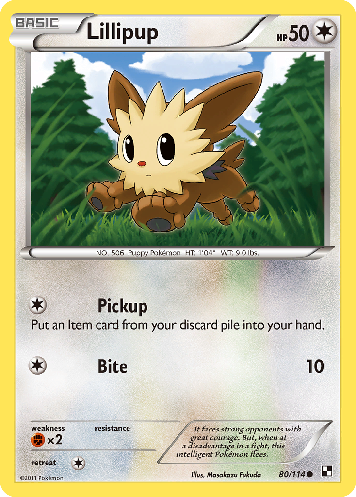 Lillipup (80/114) [Black & White: Base Set] | Amazing Games TCG