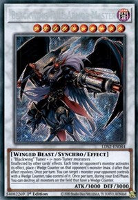 Blackwing Full Armor Master [LDS2-EN044] Secret Rare | Amazing Games TCG