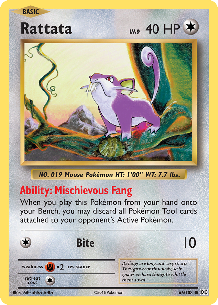 Rattata (66/108) [XY: Evolutions] | Amazing Games TCG