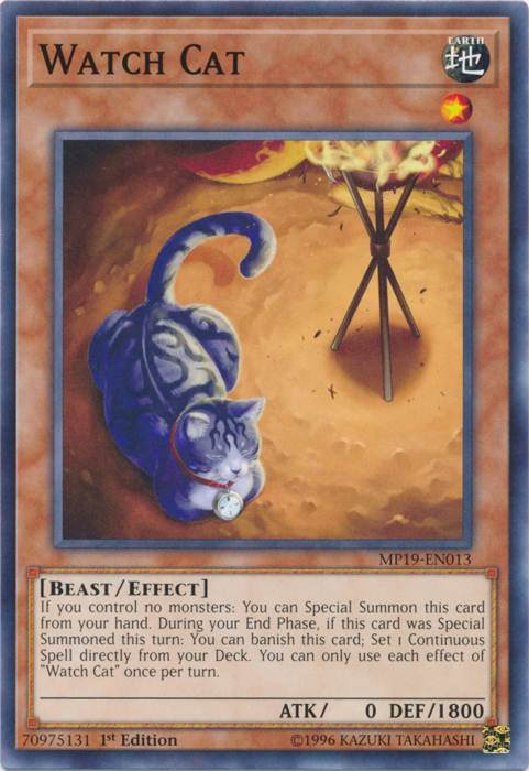 Watch Cat [MP19-EN013] Common | Amazing Games TCG