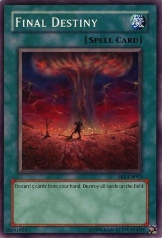 Final Destiny [SRL-EN035] Common | Amazing Games TCG