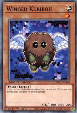 Winged Kuriboh [SGX1-ENA06] Common | Amazing Games TCG