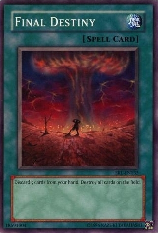 Final Destiny [SRL-035] Common | Amazing Games TCG