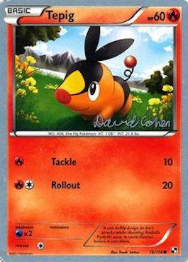 Tepig (15/114) (Twinboar - David Cohen) [World Championships 2011] | Amazing Games TCG