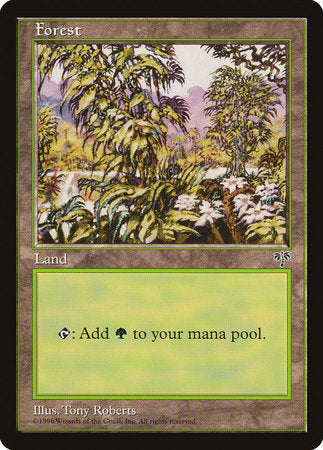 Forest (White Flowers Right) [Mirage] | Amazing Games TCG