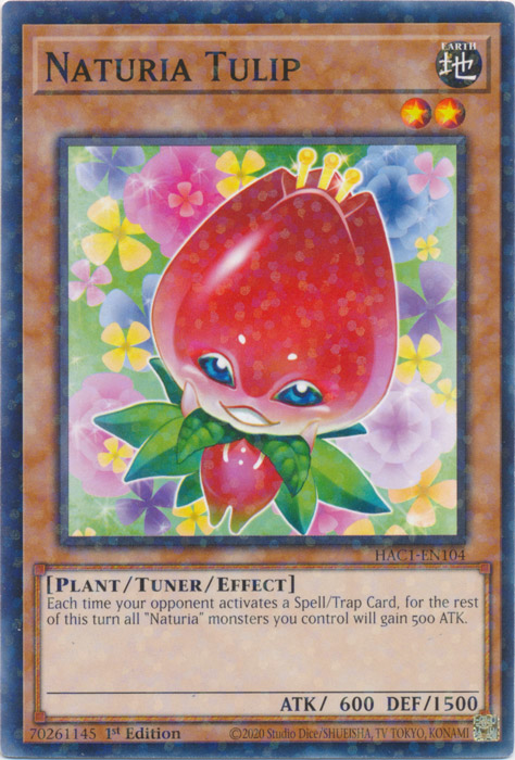 Naturia Tulip (Duel Terminal) [HAC1-EN104] Common | Amazing Games TCG