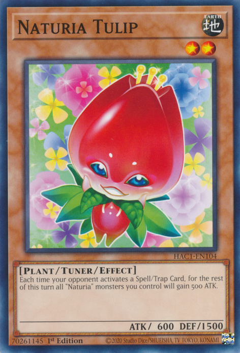 Naturia Tulip [HAC1-EN104] Common | Amazing Games TCG