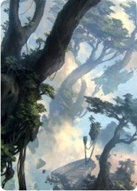 Forest 1 Art Card [Zendikar Rising Art Series] | Amazing Games TCG